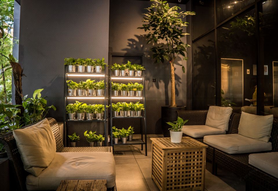 a cozy living room with various potted plants , chairs , and couches arranged around a coffee table at Z Hotel