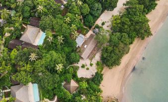 aerial view of a tropical resort with multiple beach huts and palm trees surrounding the water at Island Escape by Burasari