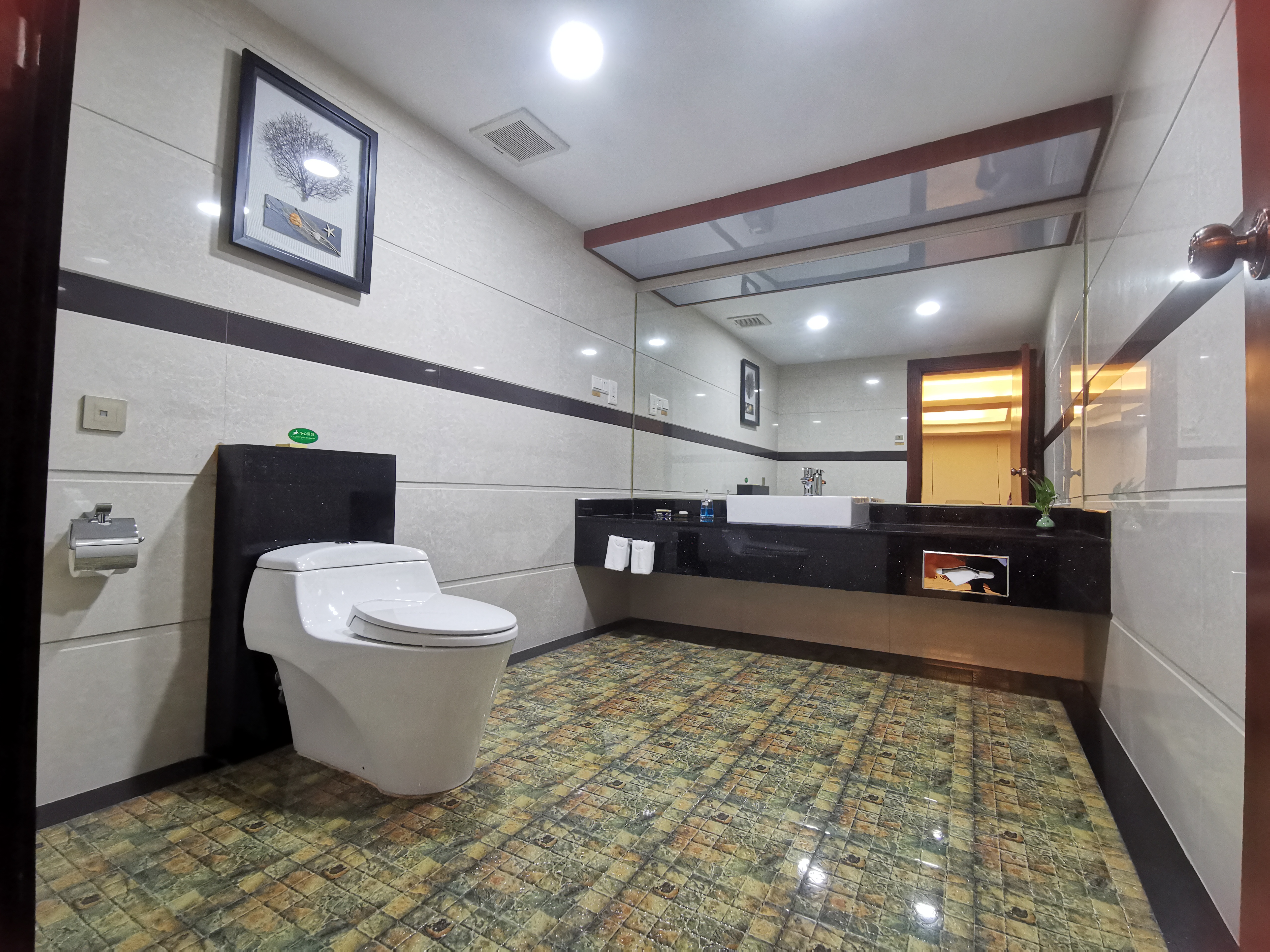 翠菊楼贵宾套房