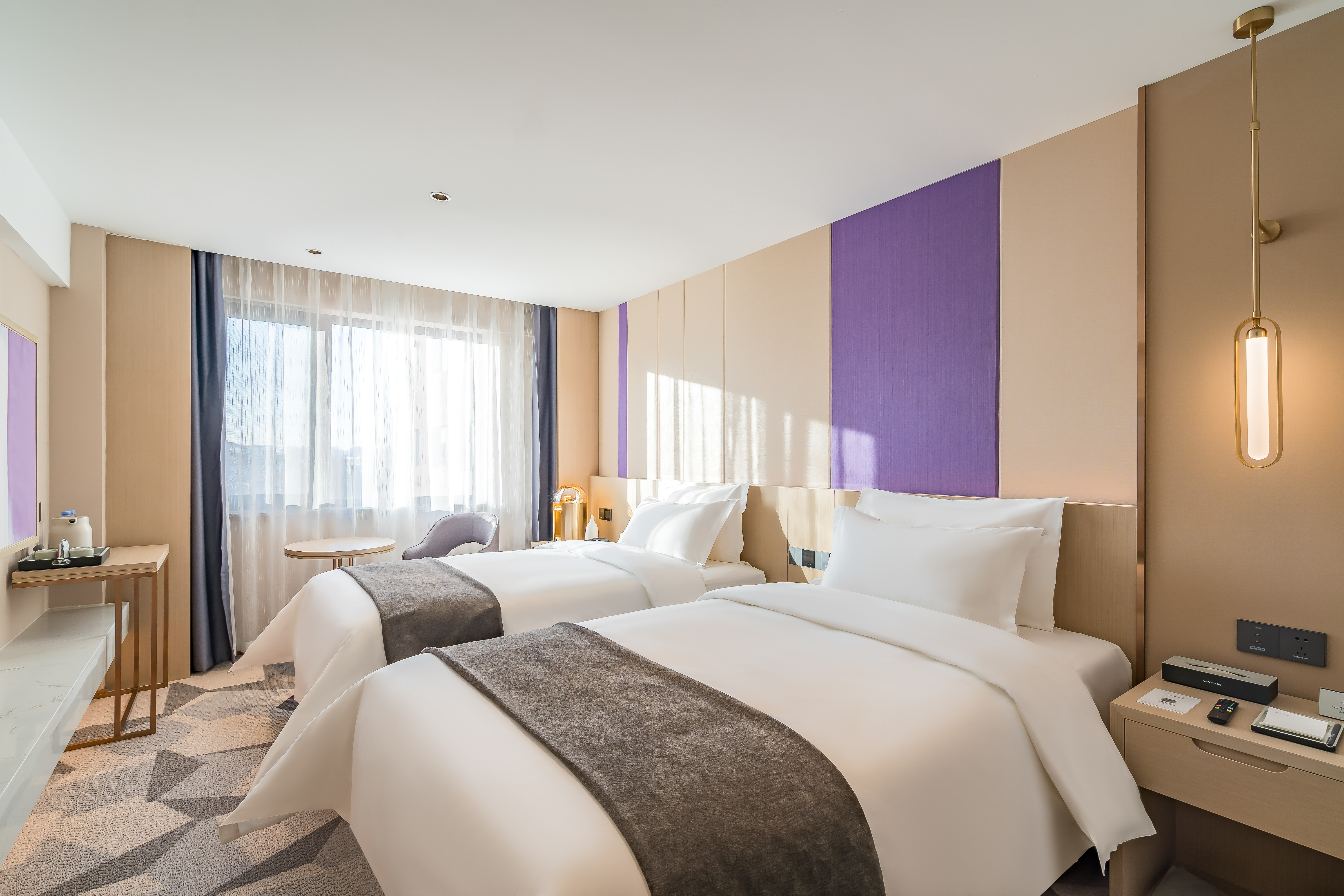 商务双床房（智能客控）