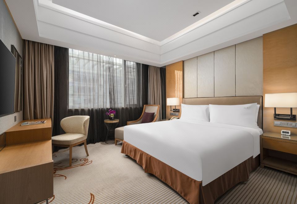 假日豪华套房（带起居室+行政楼层+可投屏）