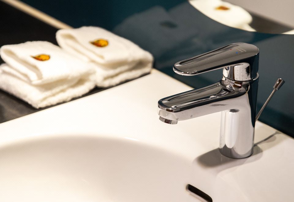 Beijing Xinqiao HotelB Duck King Bed Room