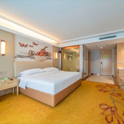 標準大床房 維也納國際飯店（常州湖塘店）優惠