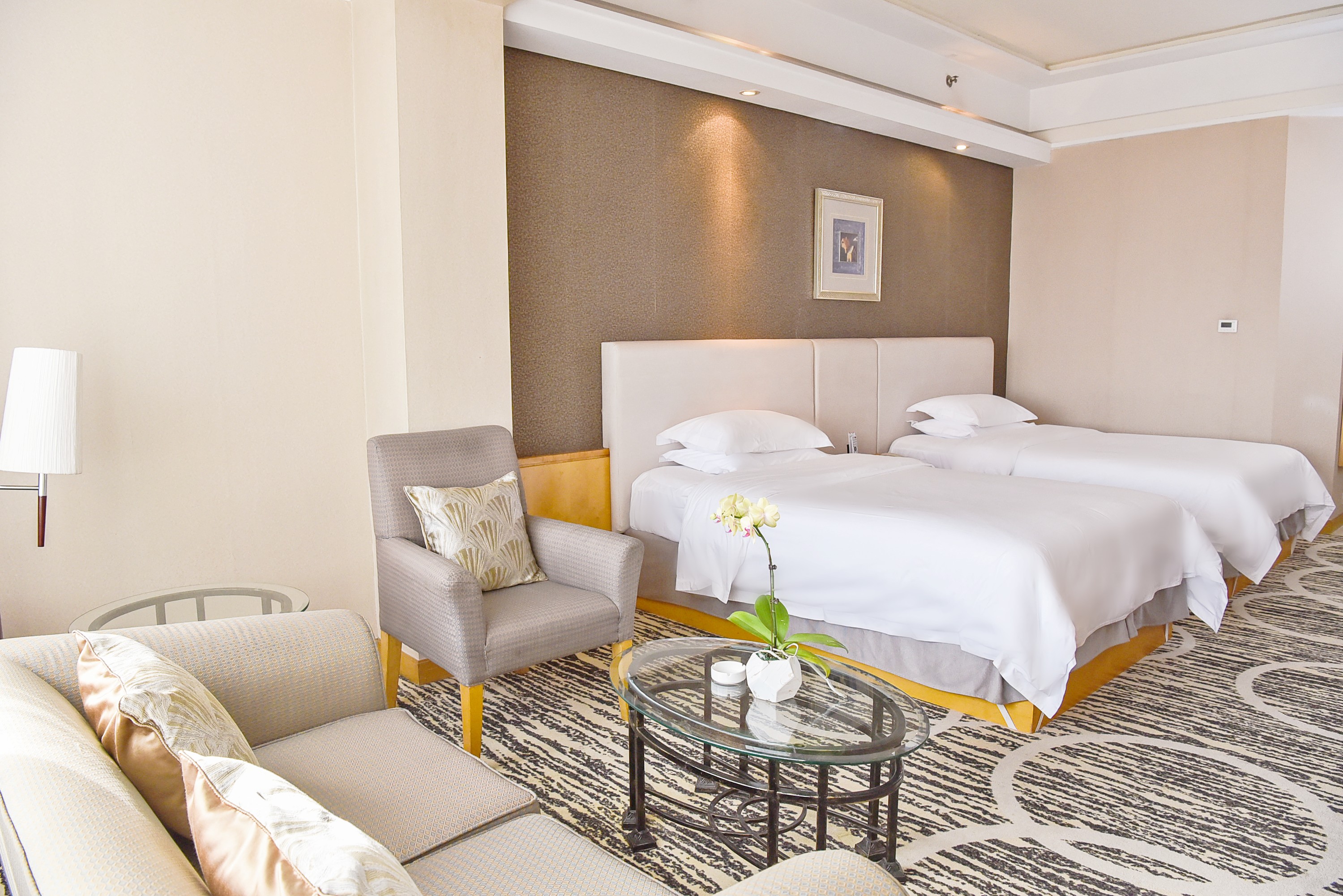 商务贵宾双床房