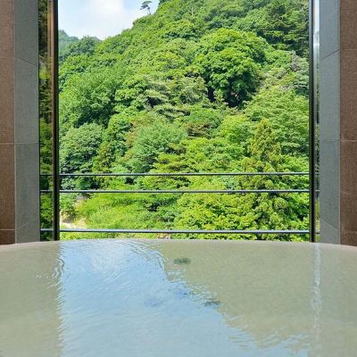 美景日式房帶露天風呂（12帖） 月光園鴻朧館優惠