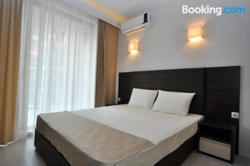 标准一卧室公寓