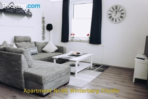 Citylife Winterberg Ferienwohnung Pool Sauna 5 Pers Near Ski Lift Wifi PS4 Deluxe Apartment