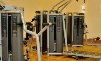 There is a gym that includes a treadmill, exercise bike, and other equipment all in the same room at Yyldyz Hotel