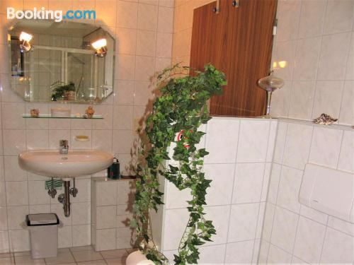 高级一卧室公寓