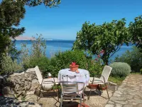 Volga Hotels in 