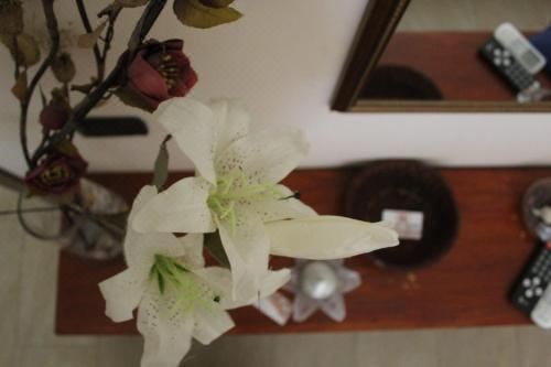 Il Belvedere Vicino Taormina Double Room with Private Bathroom