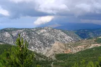 Spitakia