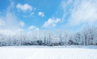 Hoshino Resorts RISONARE Nasu