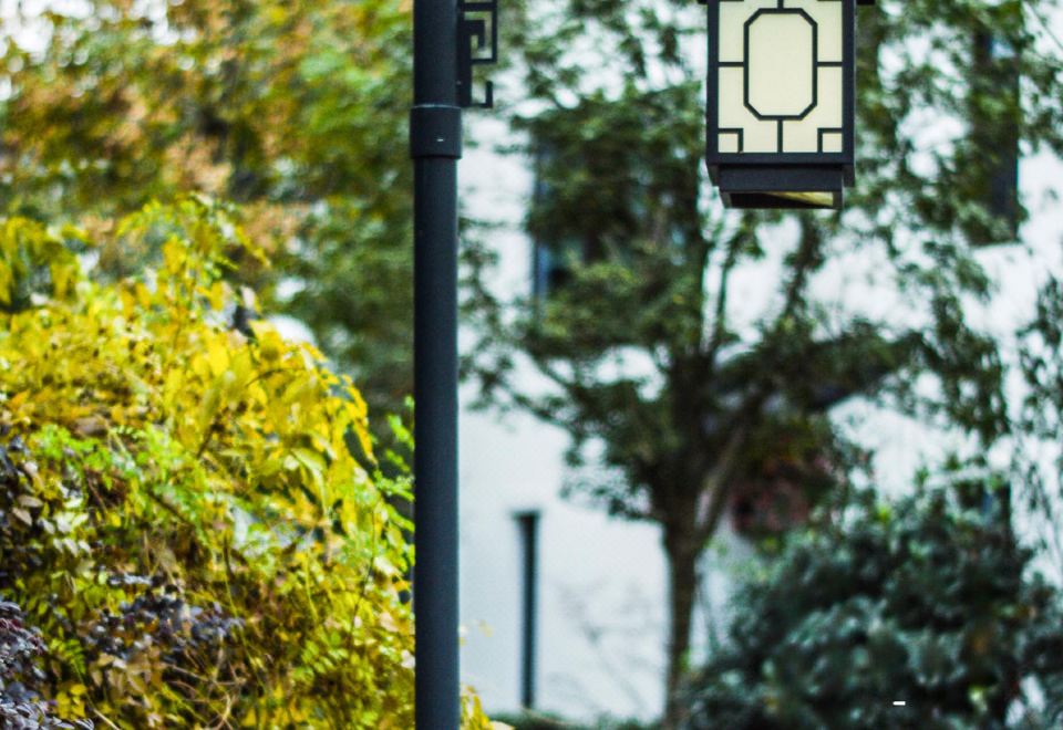 园景五居庭院房