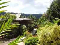 Rising Sun Guesthouse