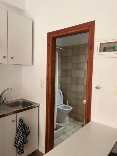 带露台一室公寓