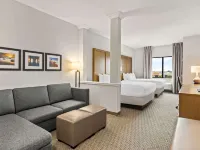 Comfort Suites Stuart-Hutchinson Island Hotels in Stuart