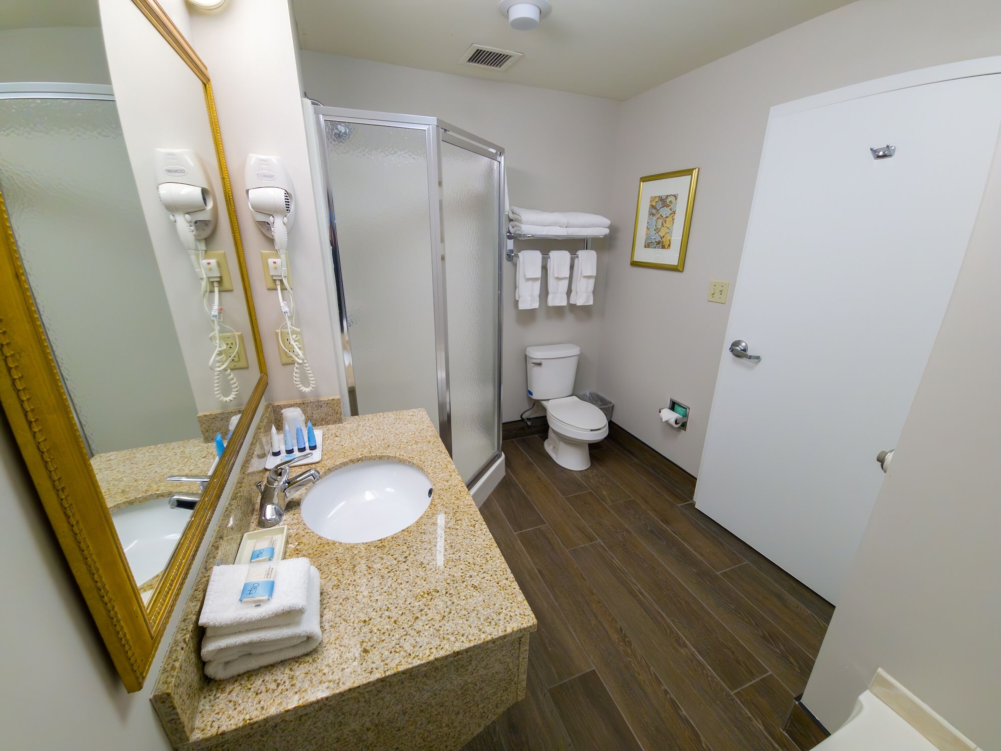 大型房间，2张双人床，山景