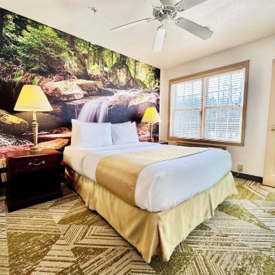 Willowbrook One Bedroom Jacuzzi Split Rock Resort Promo Code