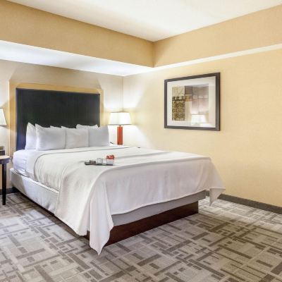 Suite, 1 Bedroom, Non Smoking (Accessible) Cambria Hotel Pittsburgh - Downtown Promo Code