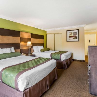 2 Queen Beds, Accessible Room, Non-Smoking Rodeway Inn & Suites Canyon Lake I-15 Promo Code