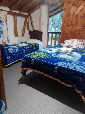 Hostal El Bambú Hotel a