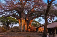 Baobab Tented Camp Các khách sạn ở 