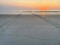 Elevated Beach Haus Hotels in Crescent Beach