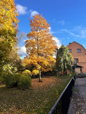 Akademihotellet