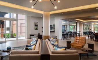 a modern living room with two couches , a coffee table , and chairs arranged in a seating area at Four Points by Sheraton Puntacana Village