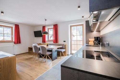 高级两卧室公寓