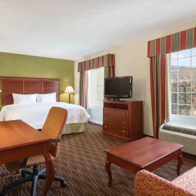 非吸煙特大床一室公寓 格林菲爾德希爾頓歡朋旅館&套房酒店優惠