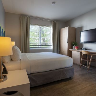 Premium King Room Viajero Miami Promo Code