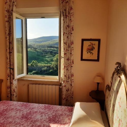 豪华双人或双床房