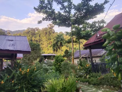 Mountain View Cottages & Villa Tangkahan Hotels in 