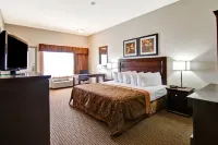 Canalta Hotel Moosomin Hotels in 