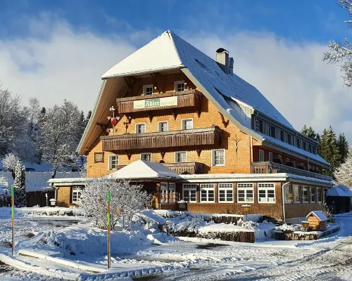 Hotel Adler Bärental Ξενοδοχεία στην πόλη Feldberg
