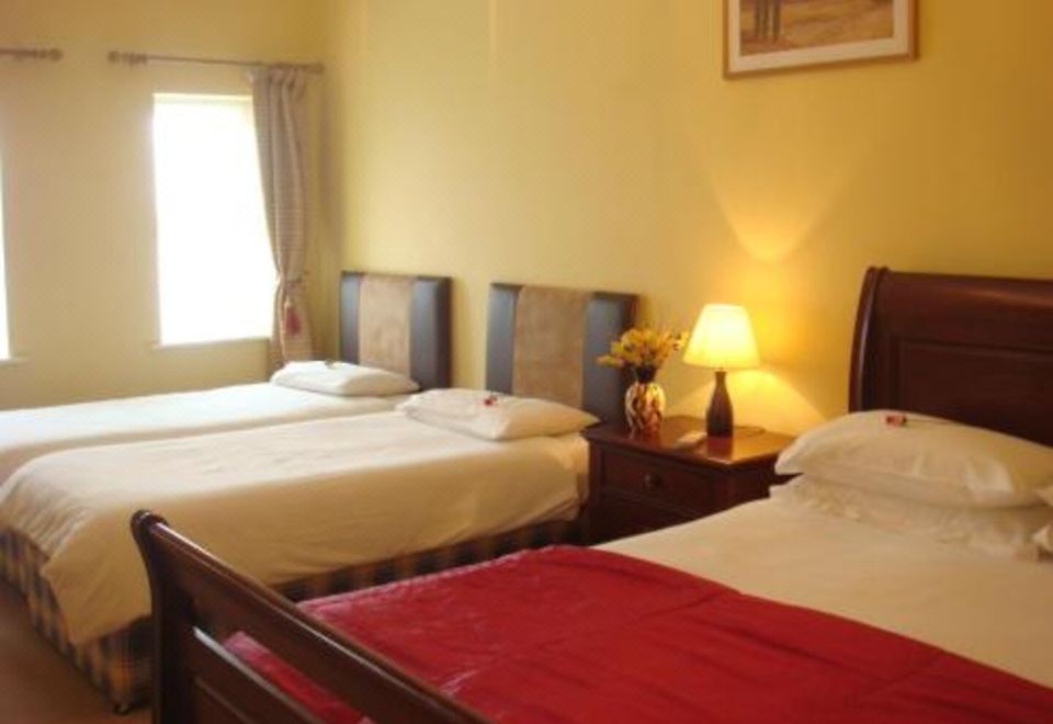 Shines Guesthouse - Housity