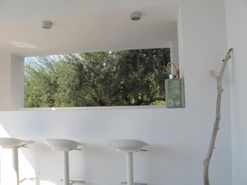 别墅（带独立泳池）