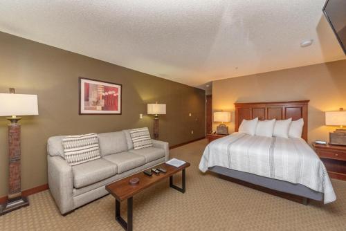 一卧室一室公寓