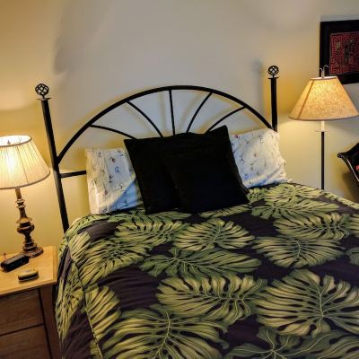 Rainforest Room Ann Arbor Bed and Breakfast Promo Code