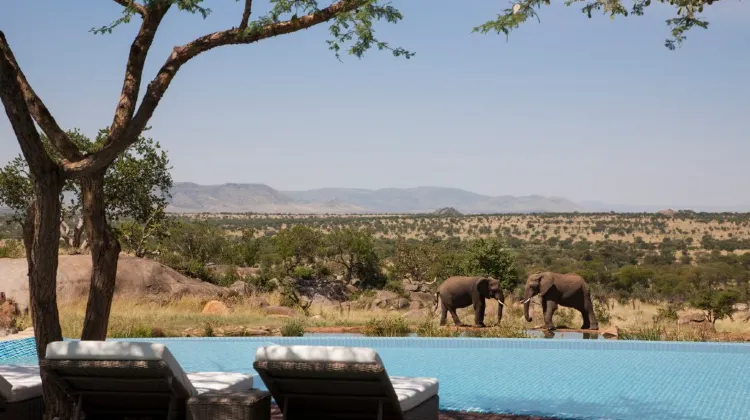 Serengeti Serena Safari Lodge 外観