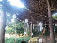 Daltons Banana Guesthouse Hotels in 