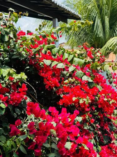 Casa Dos Girassóis Four-Bedroom House