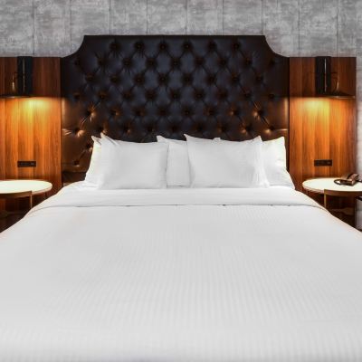 Standard Single Room Hollywood Inn Suites Hotel Promo Code