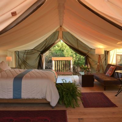 Electric King Tent Firelight Camps Promo Code