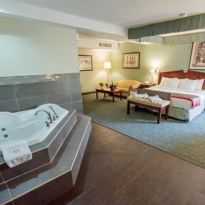 King Bed With Sofa Bed & Jacuzzi Harrison Lake Hotel Promo Code