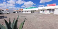 Opportunity León