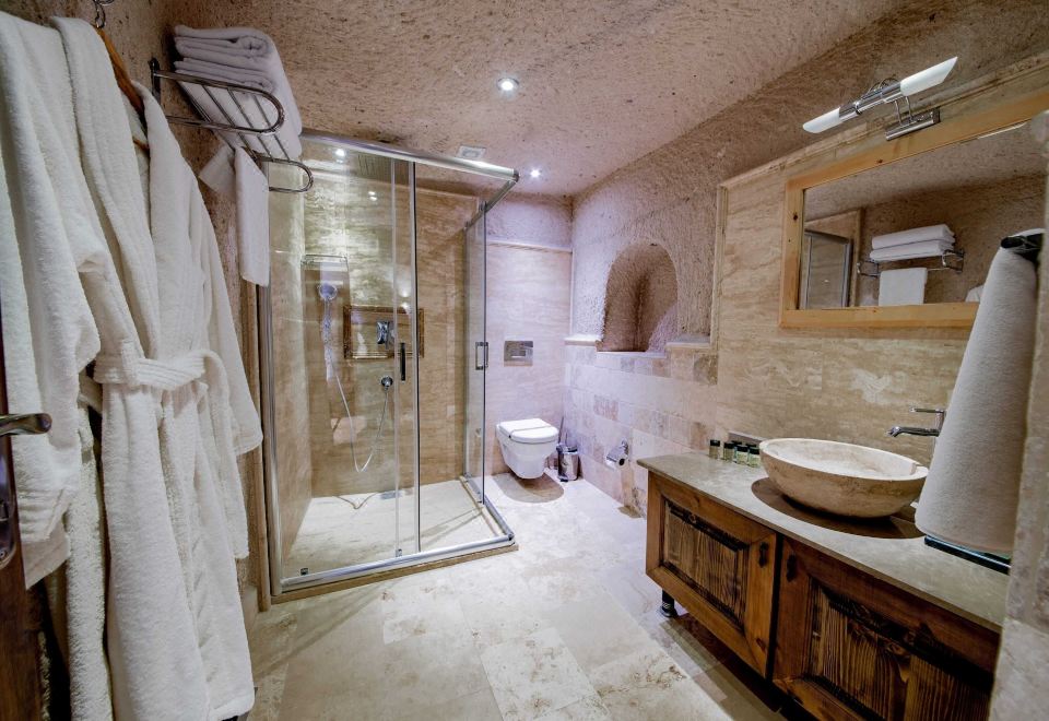 经典双人房，带壁炉