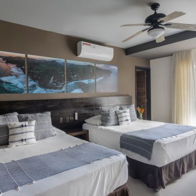 Classic Double Room, 1 Bedroom Hotel Palo Verde Promo Code
